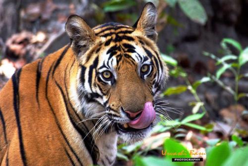 362887156 265792936198141 3769892880208099347 n