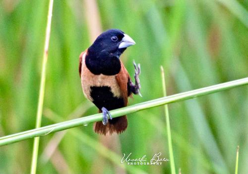 363379734 980506666562071 6998680272786460702 n