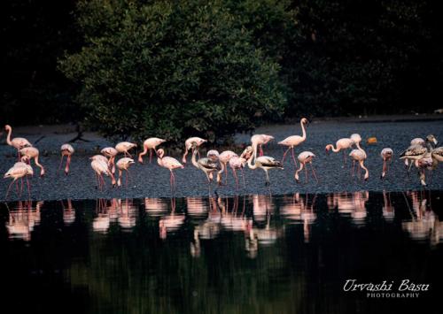 363381214 137928492678211 8084023570756310265 n