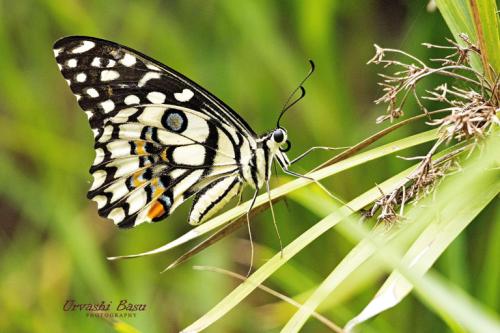 363392043 1111994129770977 99907388984345786 n