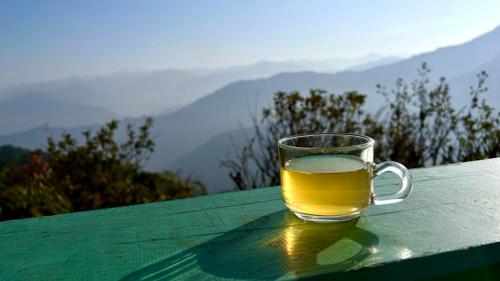 363424207 1658310684637605 590596272460600717 n