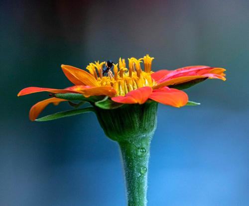 363445789 582831390722301 1003663013928338087 n