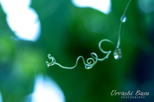 363459497 183884221206426 4280586482828307856 n