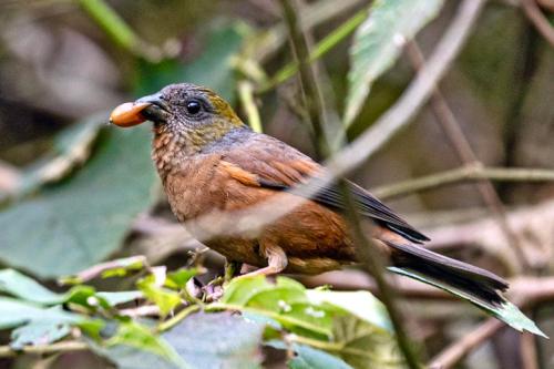 363489574 305857025146298 5774637877269846914 n